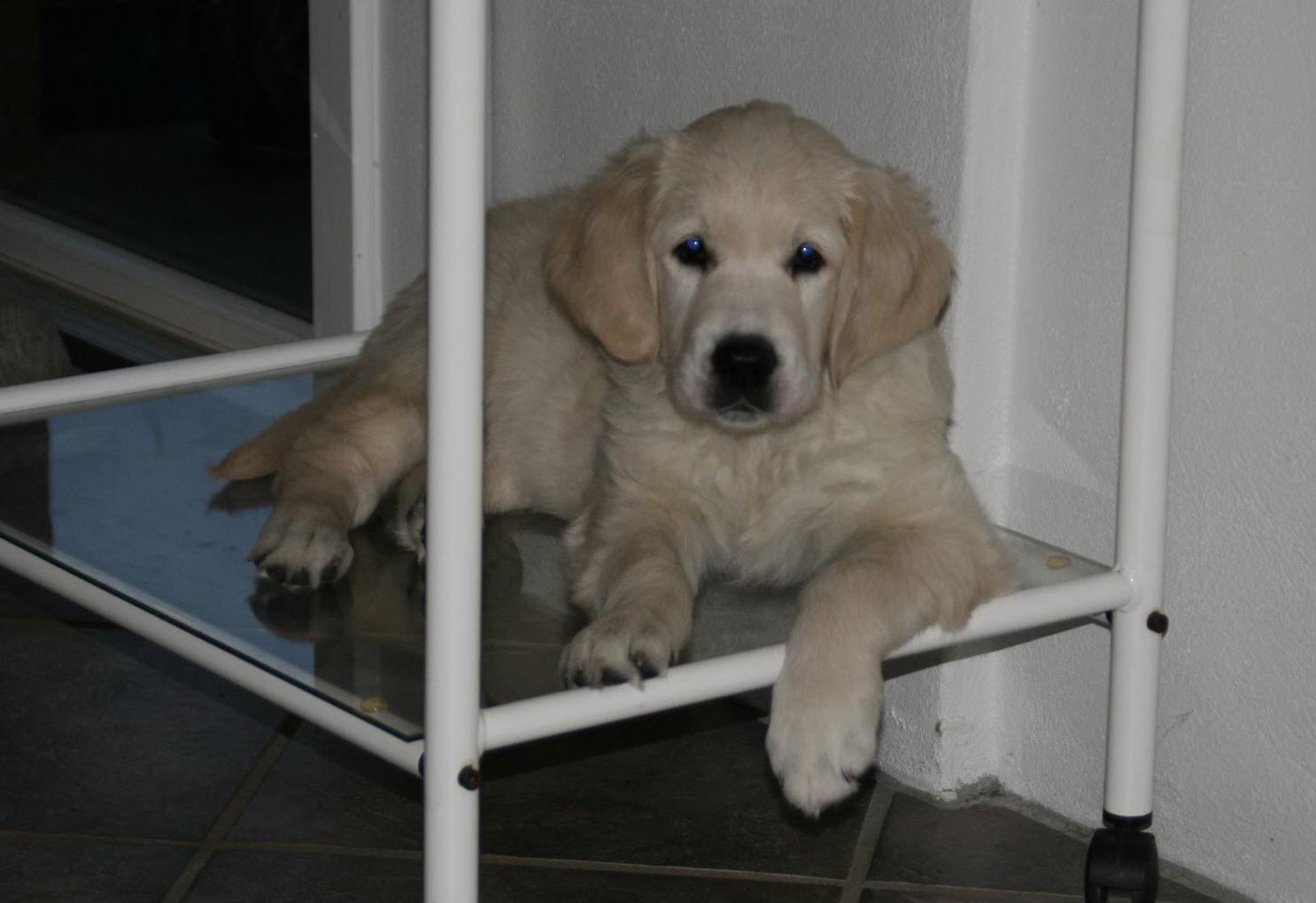 Grejsdalen Evita Peron