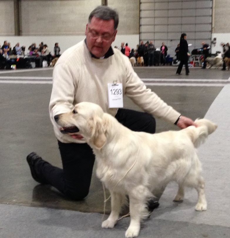 Paris At Night Happy Company