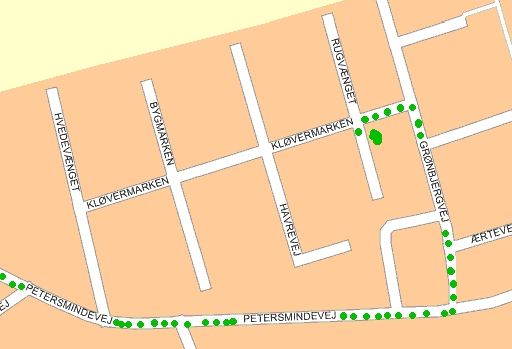Vejen til Kennel Grejsdalen